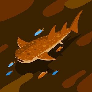 Meet your Posher, Kristin